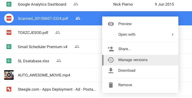 Maintain file versions